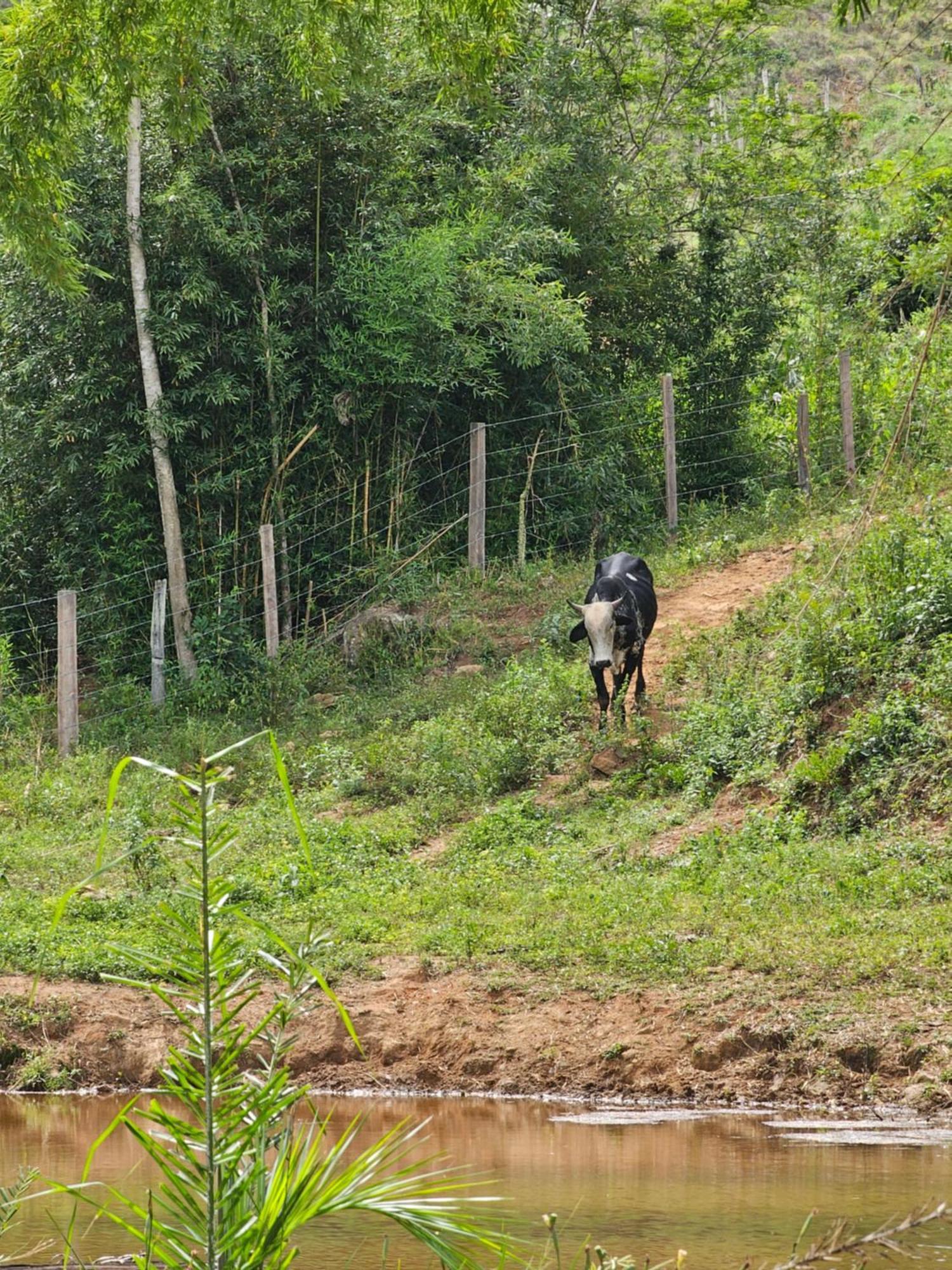 Sitio Reis Membeca Paraíba do Sul Екстериор снимка