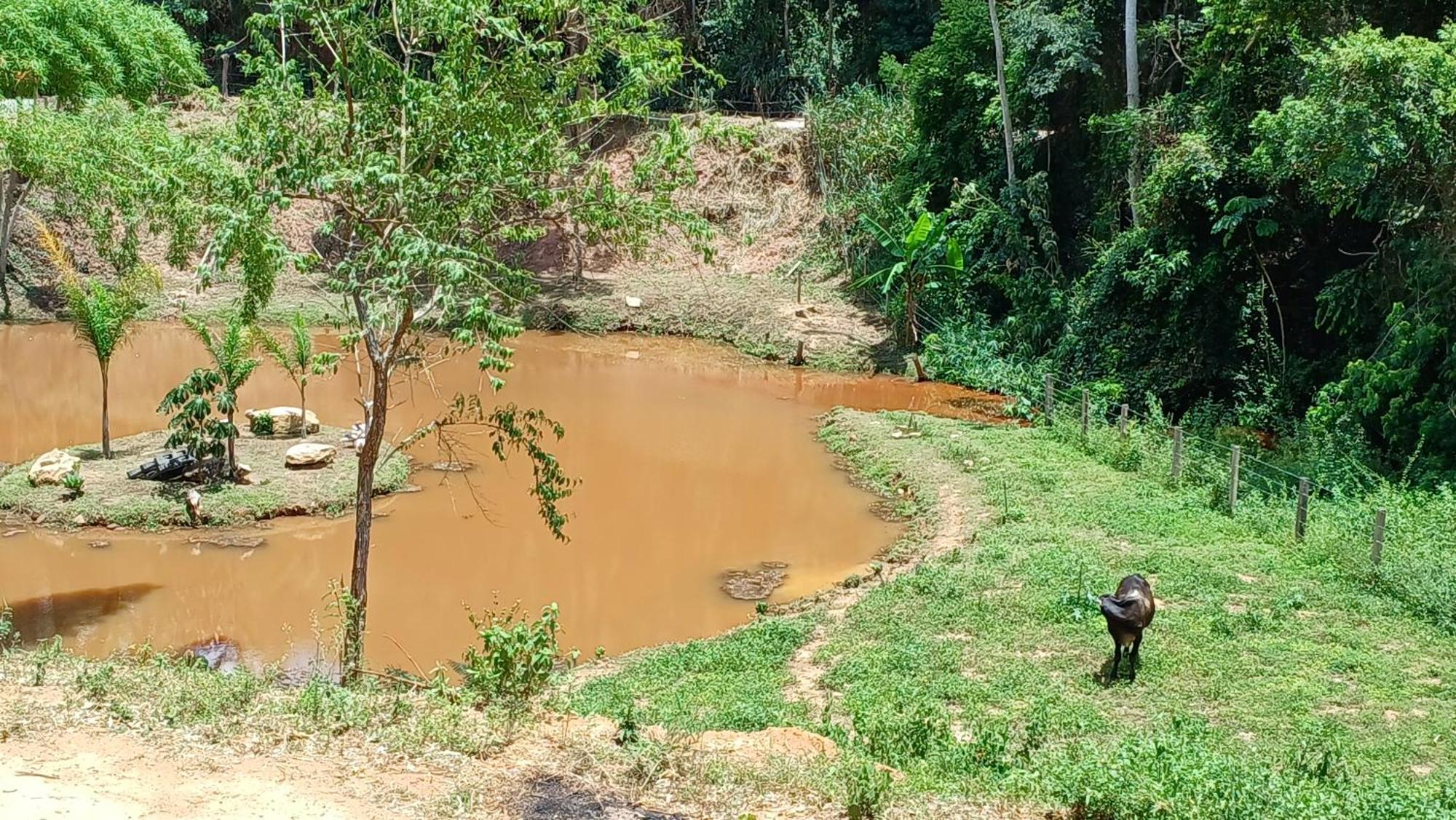 Sitio Reis Membeca Paraíba do Sul Екстериор снимка