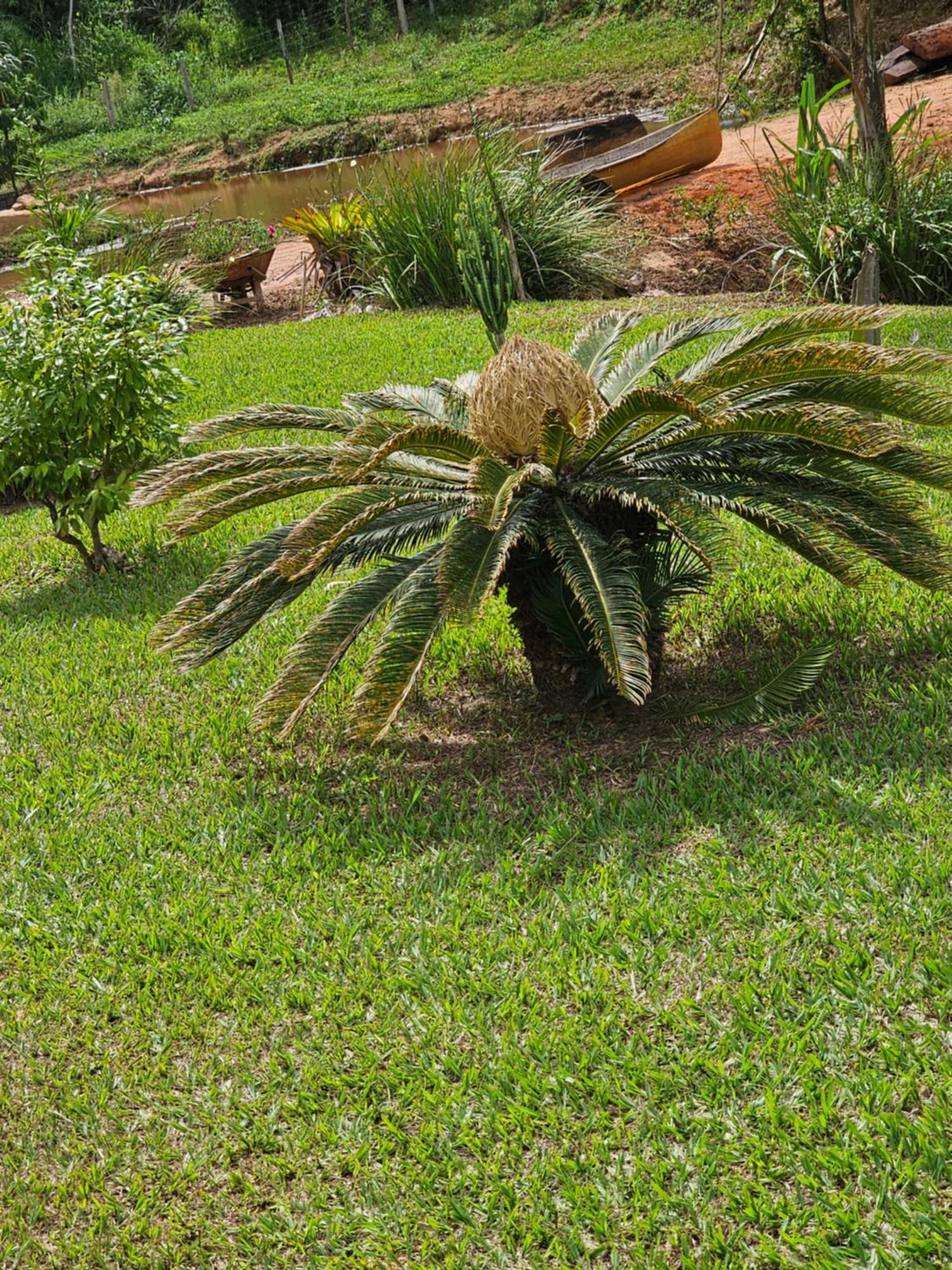 Sitio Reis Membeca Paraíba do Sul Екстериор снимка