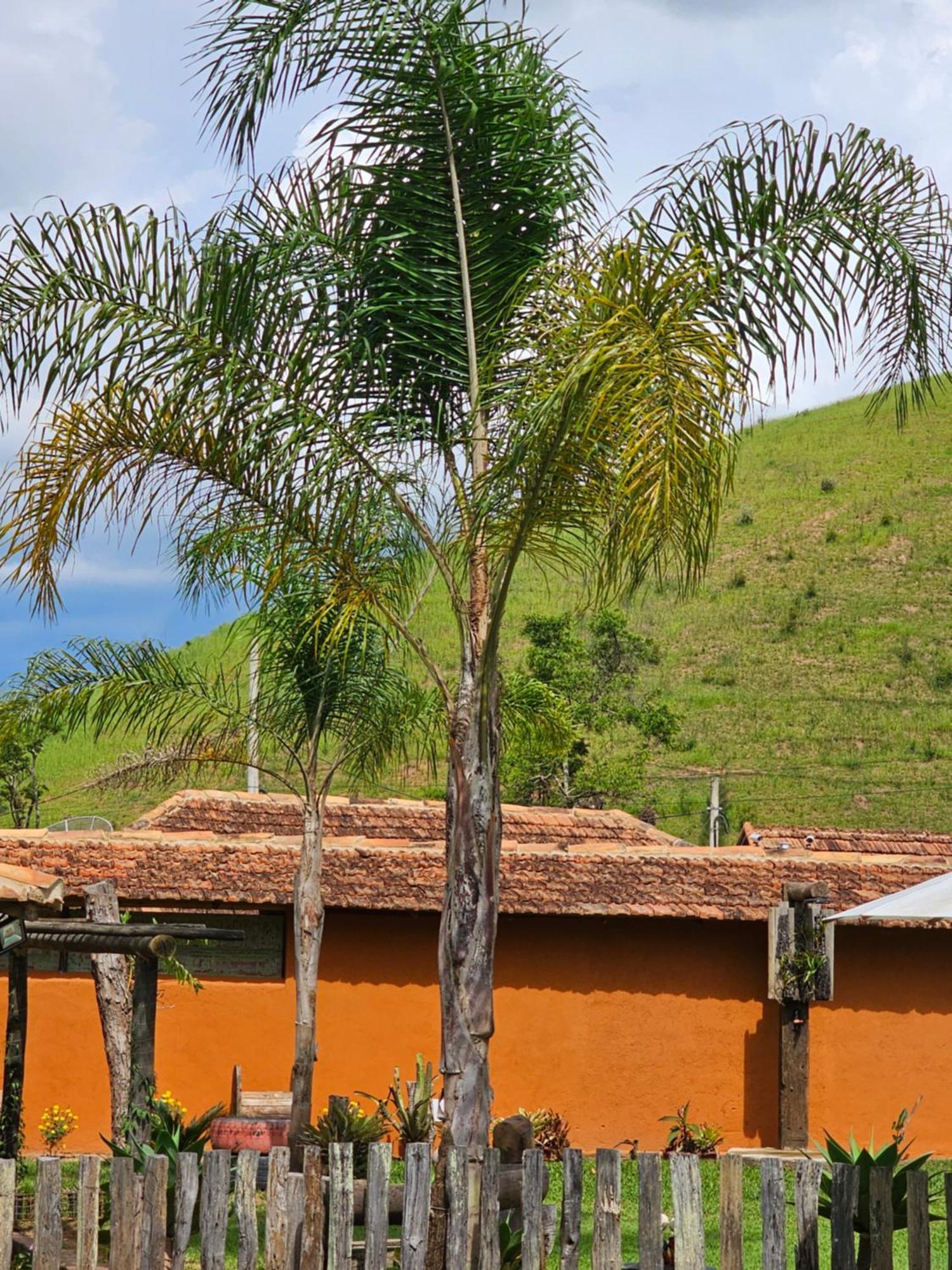 Sitio Reis Membeca Paraíba do Sul Екстериор снимка