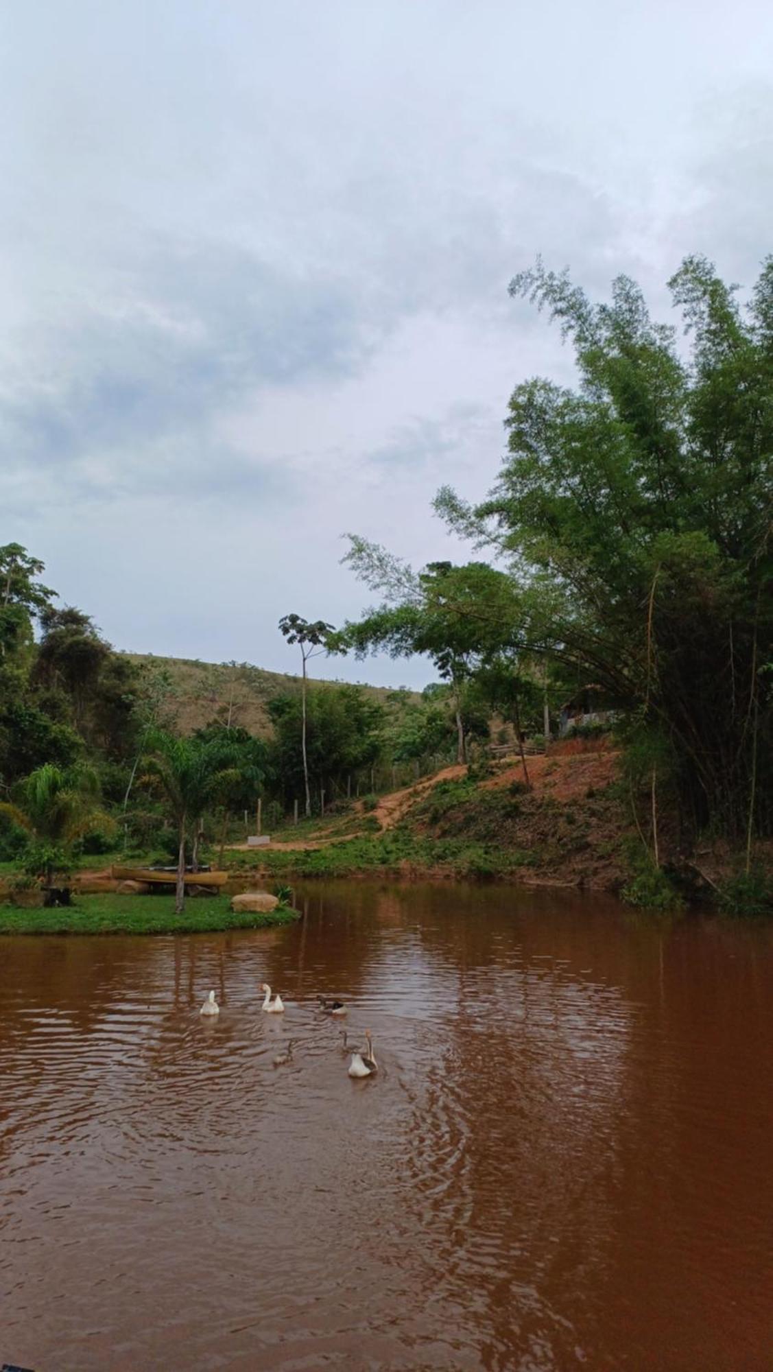 Sitio Reis Membeca Paraíba do Sul Екстериор снимка