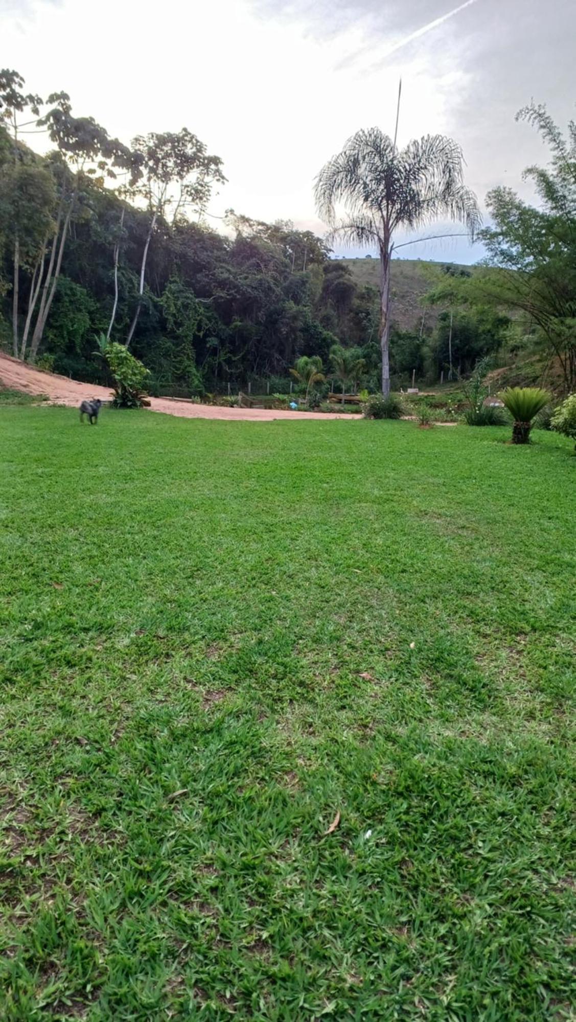 Sitio Reis Membeca Paraíba do Sul Екстериор снимка